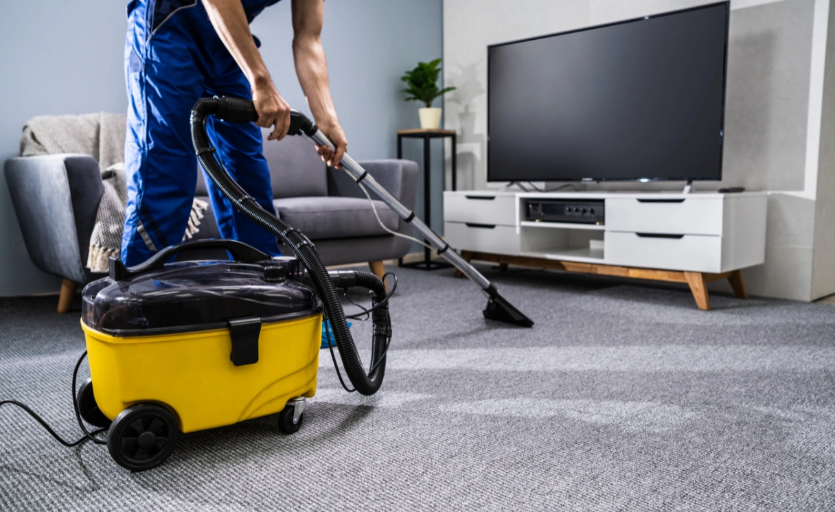Extract Mattress Cleaning Hoddles Creek Contact Office